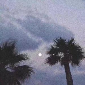 香港三级片风流三侠
